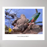 Love is Where You Find It Poster or Print