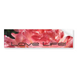 Love Life! bumper sticker Pink Summer Rose Flower bumper stickers