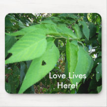 love lives here Mousepad