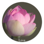 Love Lotus