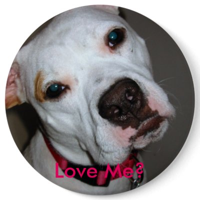 Love Me? button by rescueadog