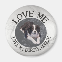 Love me, love my border collie magnets