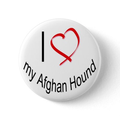 love my afghan hound button by rescueadog