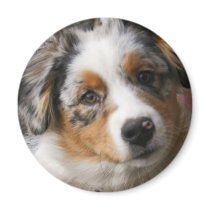Love my Aussie Fridge Magnets