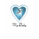 Love my baby Chihuahua t-shirts