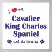 Love My Cavalier King Charles Spaniel (Female Dog) Poster
