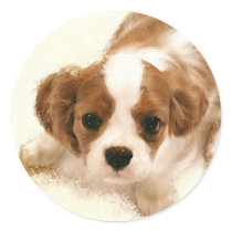 Love My Cavalier Stickers