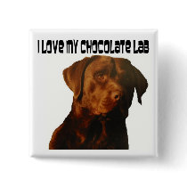 love my chocolate lab button