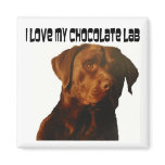 love my chocolate lab magnet
