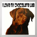 love my chocolate lab poster posters