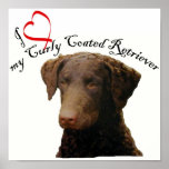 love my curly coated retriever poster posters