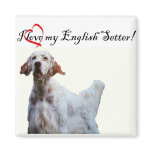 love my english setter magnet