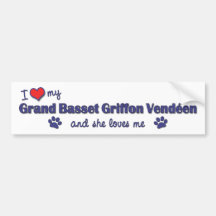 Love My Grand Basset Griffon Vendeen (Female Dog) Bumper Sticker