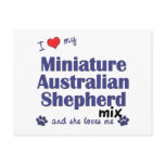 Love My Mini Australian Shepherd Mix (Female Dog) postcards
