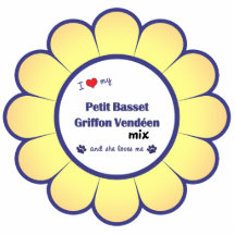 Love My Petit Basset Griffon Vendeen Mix (Female) Photo Cut Outs