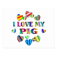 Love My Pig Postcard