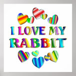Love My Rabbit Poster posters