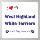 Love My West Highland White Terriers (Multi Dogs) Poster