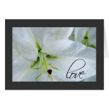 Love on a calla lily cards