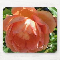 Love-Peach Rose Mousepads