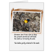 Love Poem and Beached Orange Cards