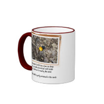 Love Poem and Beached Orange Coffee Mugs