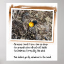 Love Poem and Beached Orange posters