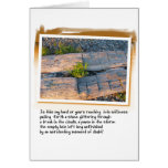 Love Poem and Log on Beach cards