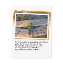 Love Poem and Log on Beach Postcards