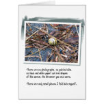 Love Poem and Snail cards