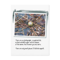 Love Poem and Snail Post Card