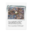 Love Poem and Snail postcards
