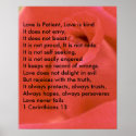 LOVE POEM ON RED ROSE posters