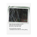 Love Poems and Tree Roots postcards
