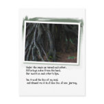 Love Poems and Tree Roots postcards