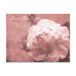Love Poetry postcards