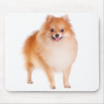 Love Pomeranian Pom Pom Puppy Dog Mousepad