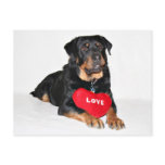 Love postcards