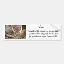 Love Quote - Otters Bumper Sticker