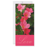 Love rack cards