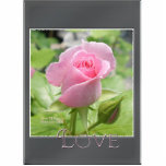 Love Rose Photo Sculpture