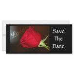 Love Rose