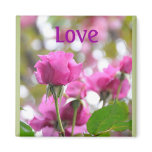 Love Roses Magnet