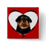 Love Rottweiler puppy button