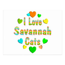 Love Savannah Cats Post Cards