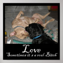 Love Some times it's a real bitch