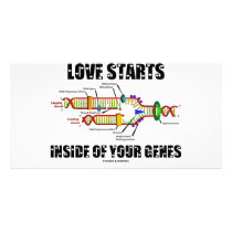 Love Starts Inside Of Your Genes (DNA Replication)