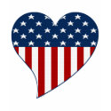 Love the USA t-shirts