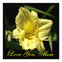 Love You Mum: Yellow Daylily, Mother's Day Photo Print