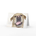 Love you too - goofy Labrador portrait cards